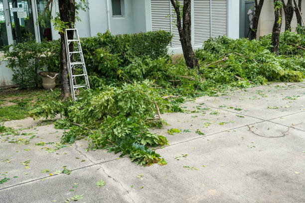 Best Grass Overseeding  in Surf City, NJ